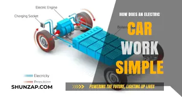 Understanding Electric Cars: A Simple Guide to Their Functionality