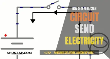 Electric Circuits: Powering Our World with Electricity