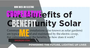 Electric Co-ops: Benefits, Power, and Community