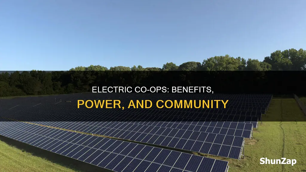 how does an electric cooperative benefit me