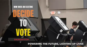 Electric Cars: Voting for a Greener Future