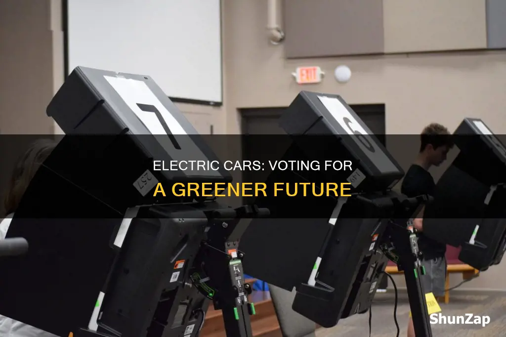 how does an electric decide to vote