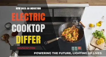 Induction Electric Cooktops: What Makes Them Different?