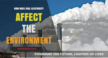 Coal Electricity: Environmental Impact and Concerns