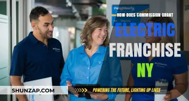 Commission Grants Electric Franchise: New York's Power Play