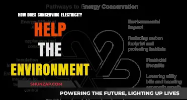 Conserving Electricity: Helping Our Environment