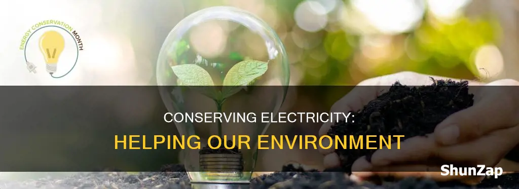 how does conserving electricity help the environment