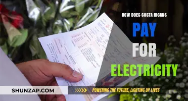 The Cost of Electricity in Costa Rica