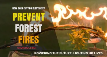 Preventing Forest Fires: Cutting Electricity's Role