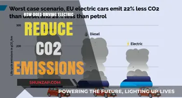Electric Cars: Lowering Carbon Emissions, Improving Our Future