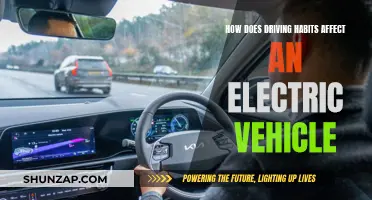 Electric Vehicle Efficiency: The Impact of Driving Habits