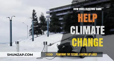 Electric Cars: A Sustainable Solution to Combat Climate Change