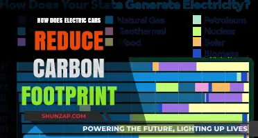 Electric Cars: A Sustainable Solution to Reduce Carbon Footprint