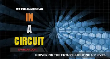 Electric Circuit Basics: Understanding the Flow of Electricity