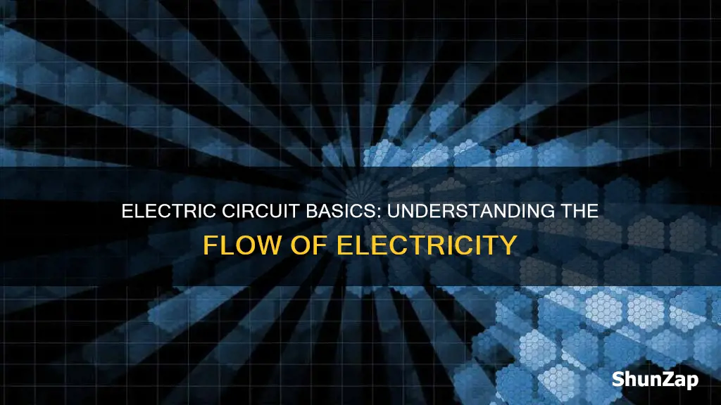how does electric flow in a circuit
