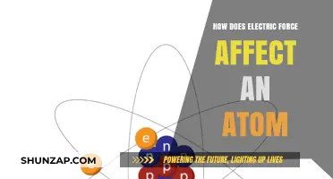 Electric Forces: Their Influence on Atoms and Atomic Behavior