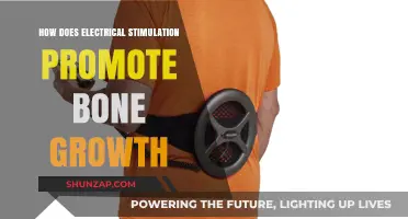 Electrical Stimulation: Bone Growth's Electric Boost