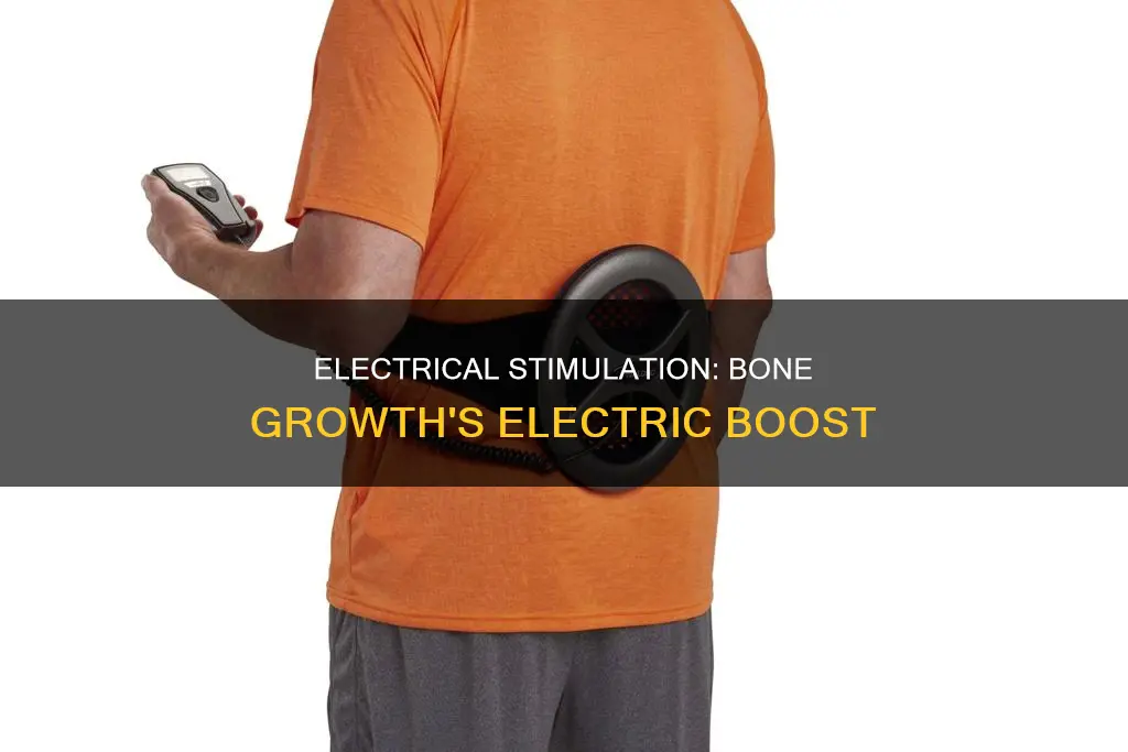how does electrical stimulation promote bone growth