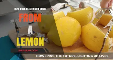 Lemon Power: Electricity from Citrus