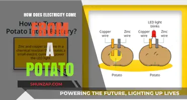 Powering Light Bulbs with Potatoes: The Science Behind It