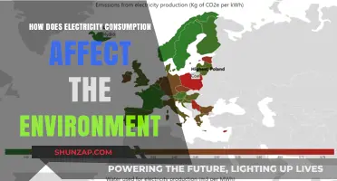 Electricity's Environmental Impact: Understanding the Relationship