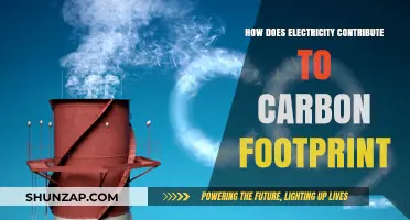 Electricity's Carbon Footprint: Understanding the Environmental Impact