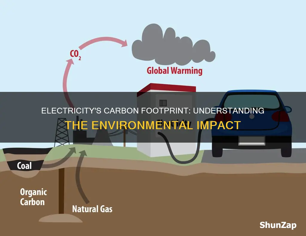 how does electricity contribute to carbon footprint