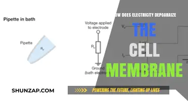 Electricity's Impact: Cell Membrane Depolarization