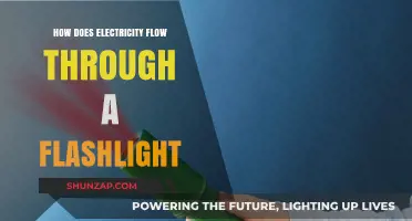 The Circuitous Route of Flashlight Electricity
