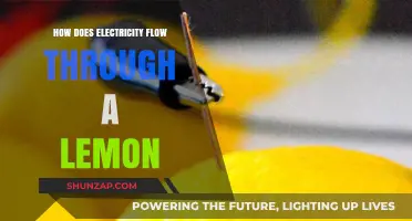 Electricity from a Lemon: The Science Behind It