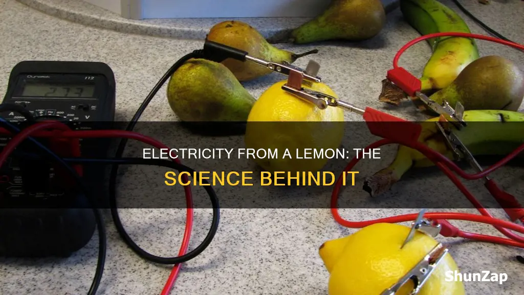 how does electricity flow through a lemon