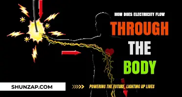 Electricity and the Human Body: A Shocking Relationship