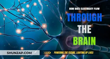 Electricity's Path: Brain Power and Flow