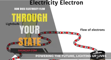 Electricity Flow: A State-Wide Power Journey