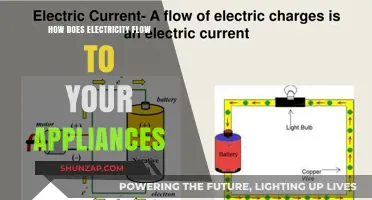 Electricity's Journey to Powering Your Home Appliances