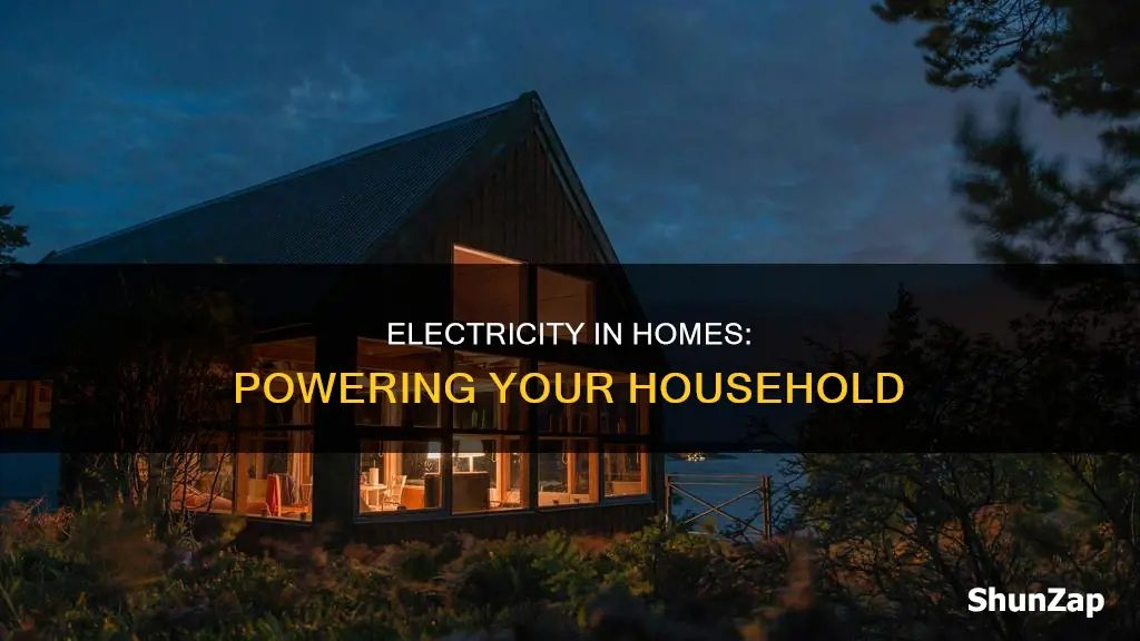 how does electricity function in a household