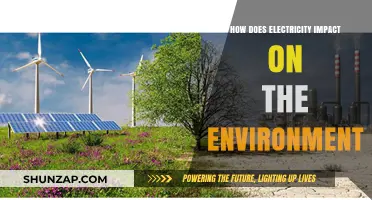 Electricity's Environmental Impact: Friend or Foe?
