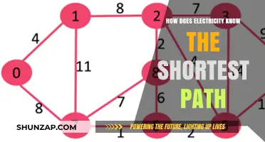 Electricity's Instinct: Shortest Path Secrets