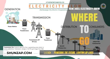 Electricity's Path: Understanding the Flow of Power