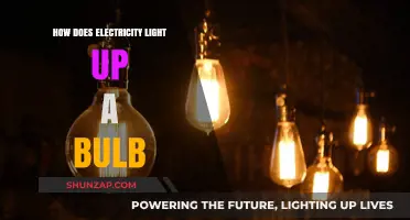 Electricity's Journey: Lighting Up a Bulb