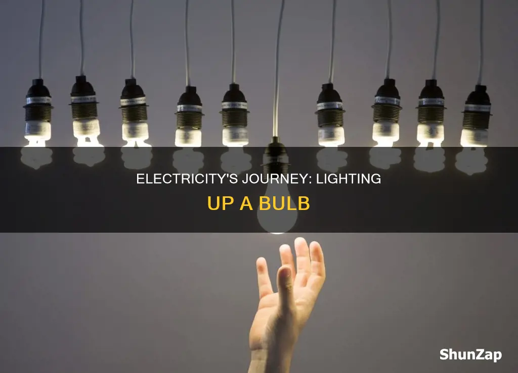 how does electricity light up a bulb
