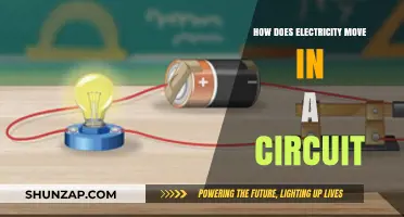 Electricity's Circuitous Journey: Understanding Electric Flow