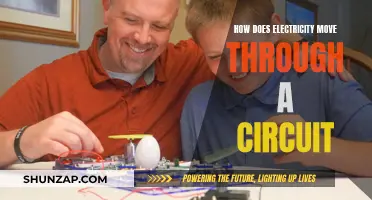 Electricity's Journey: Understanding Circuit Flow