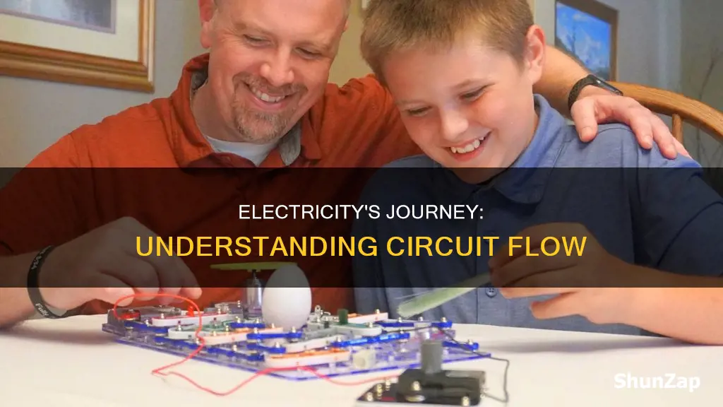 how does electricity move through a circuit