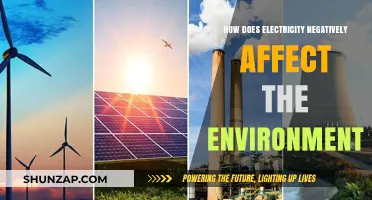 Electricity's Dark Side: Environmental Impact
