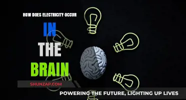 Brain Electricity: Powering Our Thoughts