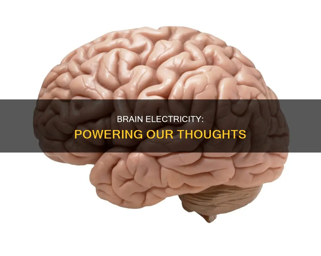 how does electricity occur in the brain