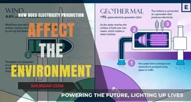 Electricity's Environmental Impact: Exploring Production's Ecological Footprint