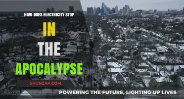 The End of Electricity: Apocalypse Survival Guide