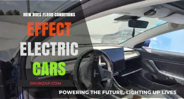 Flood Impact on Electric Vehicles: Risks, Safety, and Recovery Tips